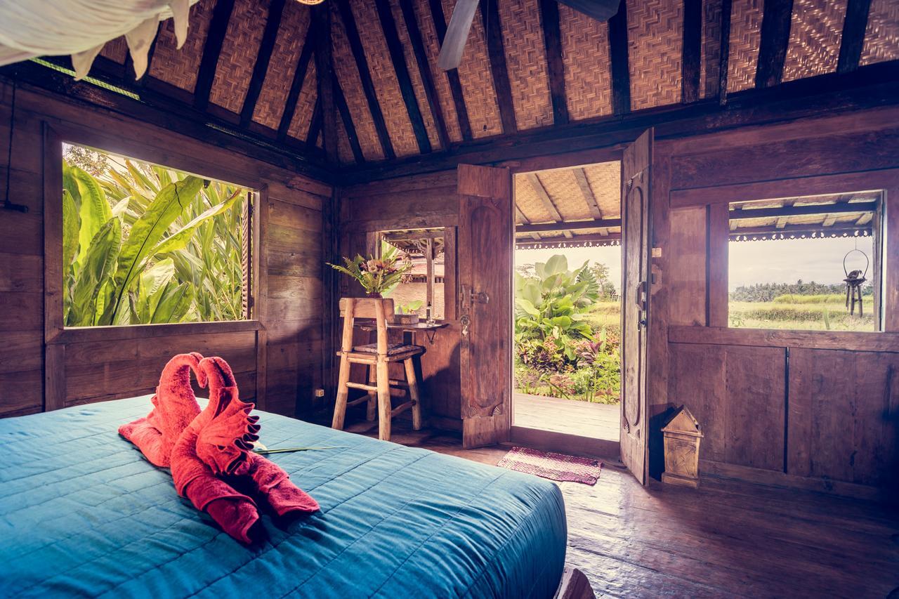 Dragonfly Village 3*