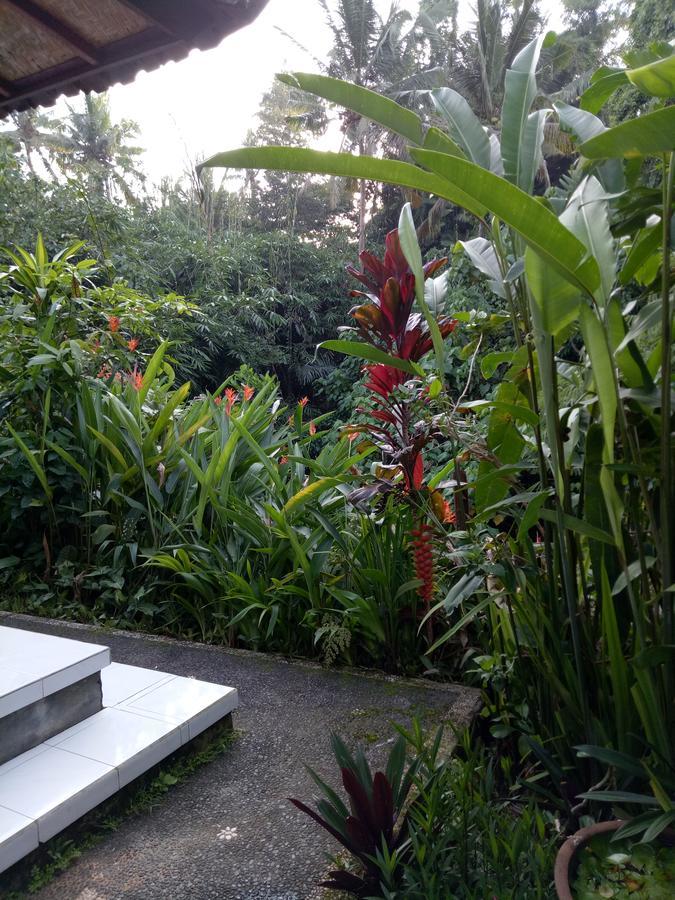 Karma House * Ubud (Bali)