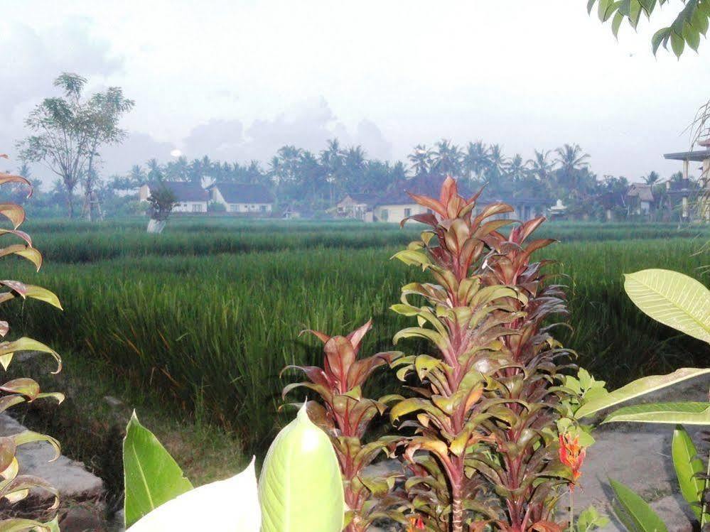 Shriman Yoga Hotel Ubud (Bali)