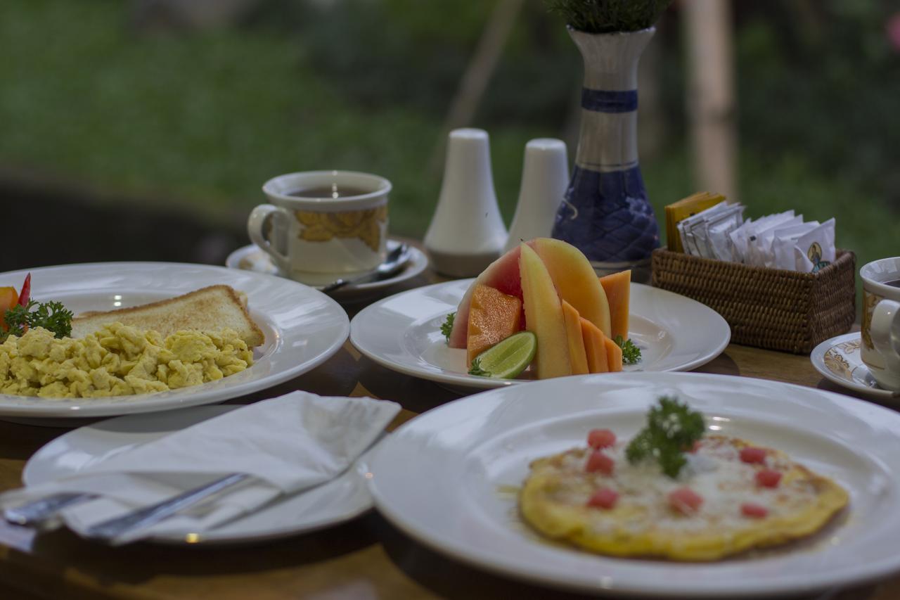 Homestay Masna House