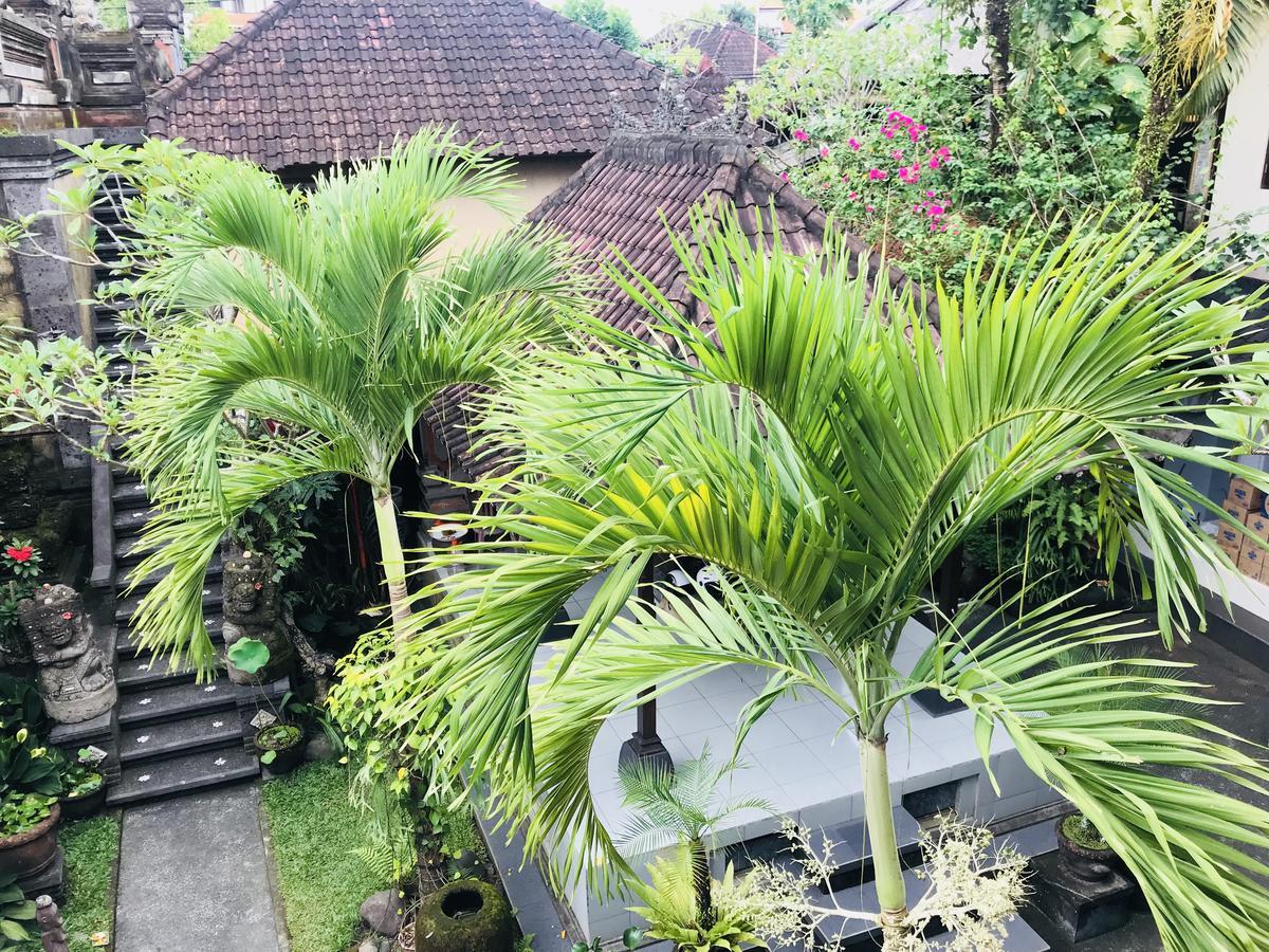 Homestay Pangkung House *