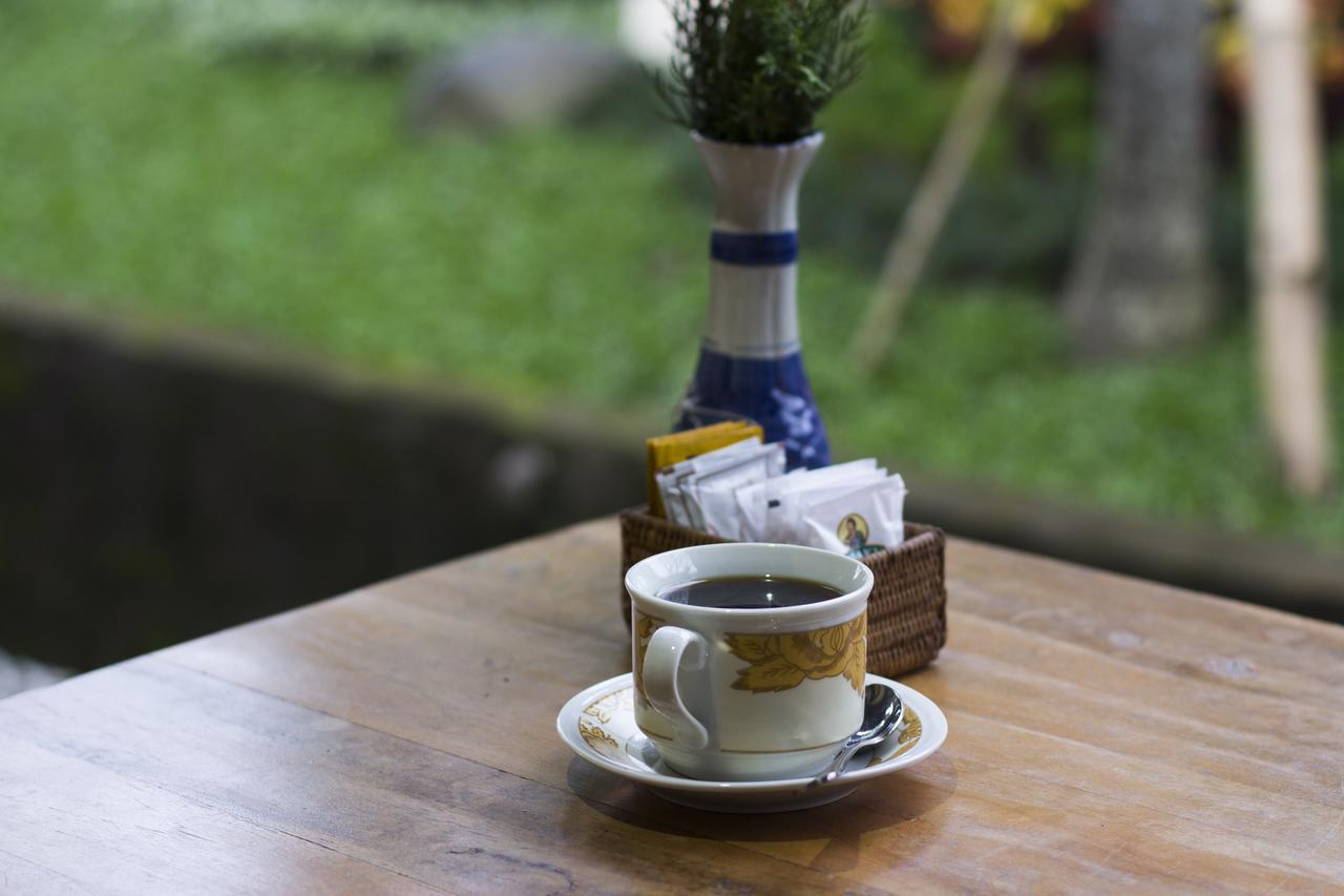 Masna House Homestay Ubud (Bali)
