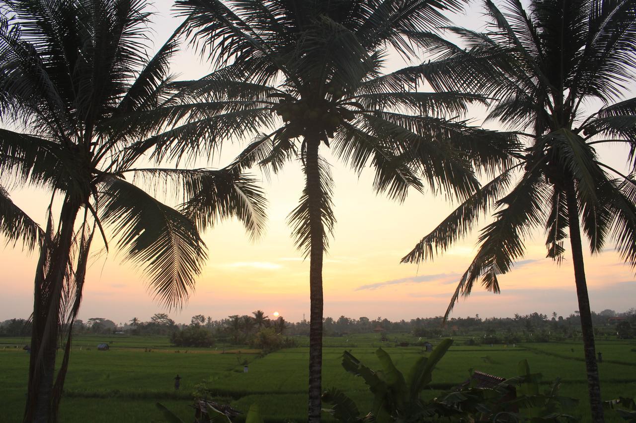 Uma Capung Mas Resort Ubud