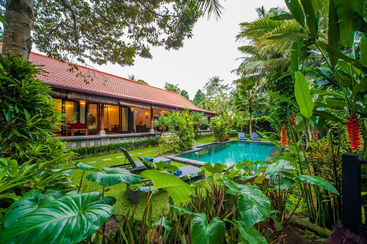 Villa Luxury 3br Infinity Jungle View Aashaya