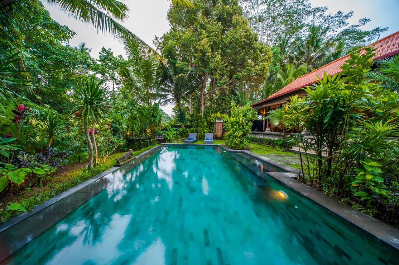 Luxury 3br Infinity Jungle View Aashaya Ubud (Bali)