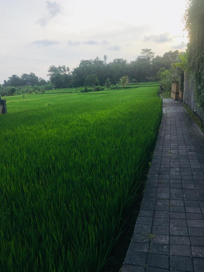 Heaven Villa Ubud