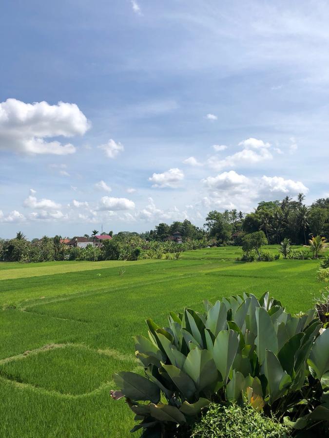 Heaven Villa Ubud