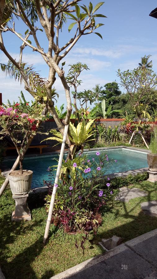 Kubu Loris Guest house
