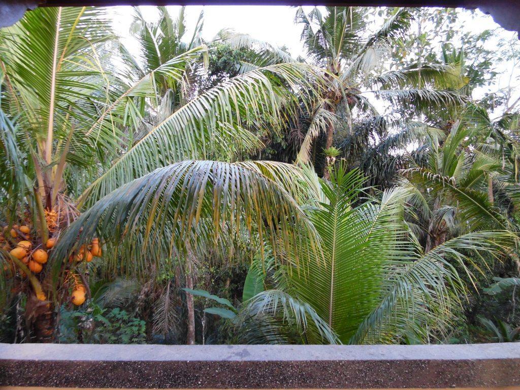 Resort Mesari 4*