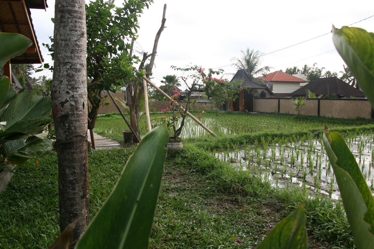 Mesari