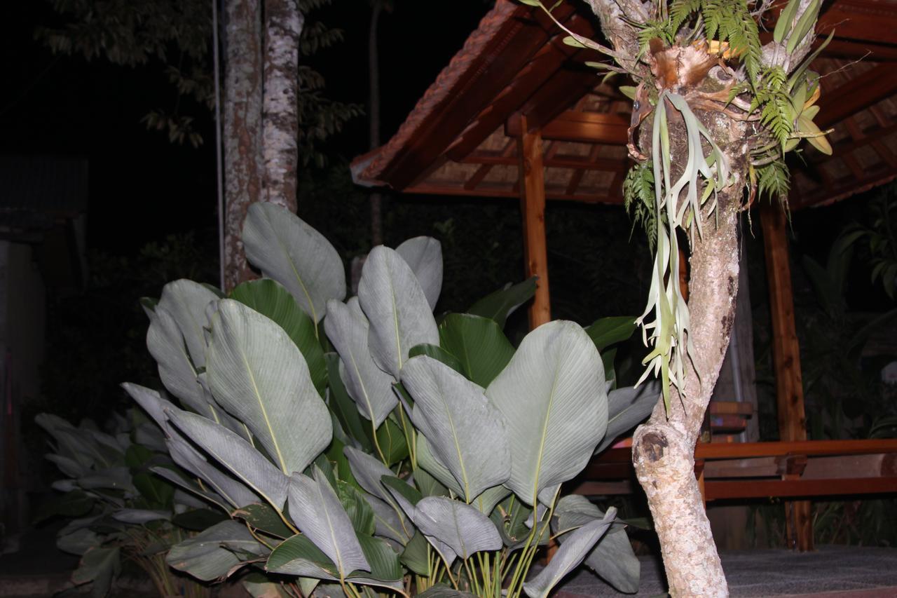 Jerogadung House Rumah tetamu 2*