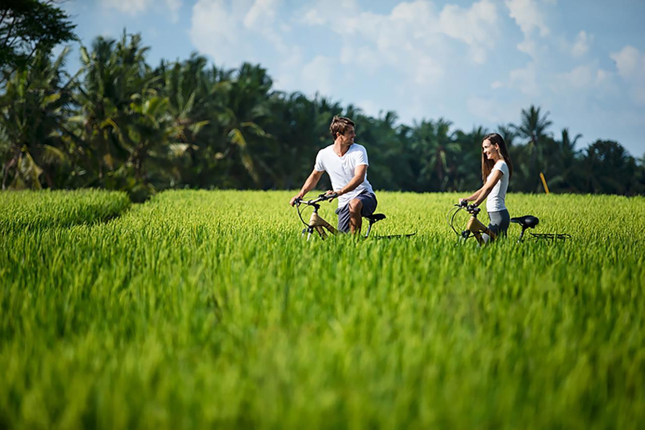 Tanah Gajah, A By Hadiprana 5* Ubud (Bali)