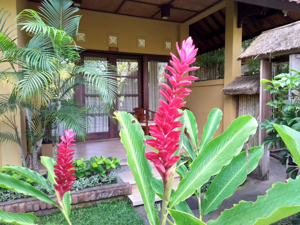 Lestari Bed & Breakfast