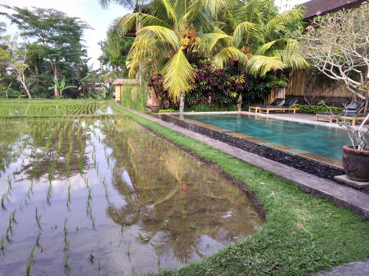 Lestari Bed & Breakfast