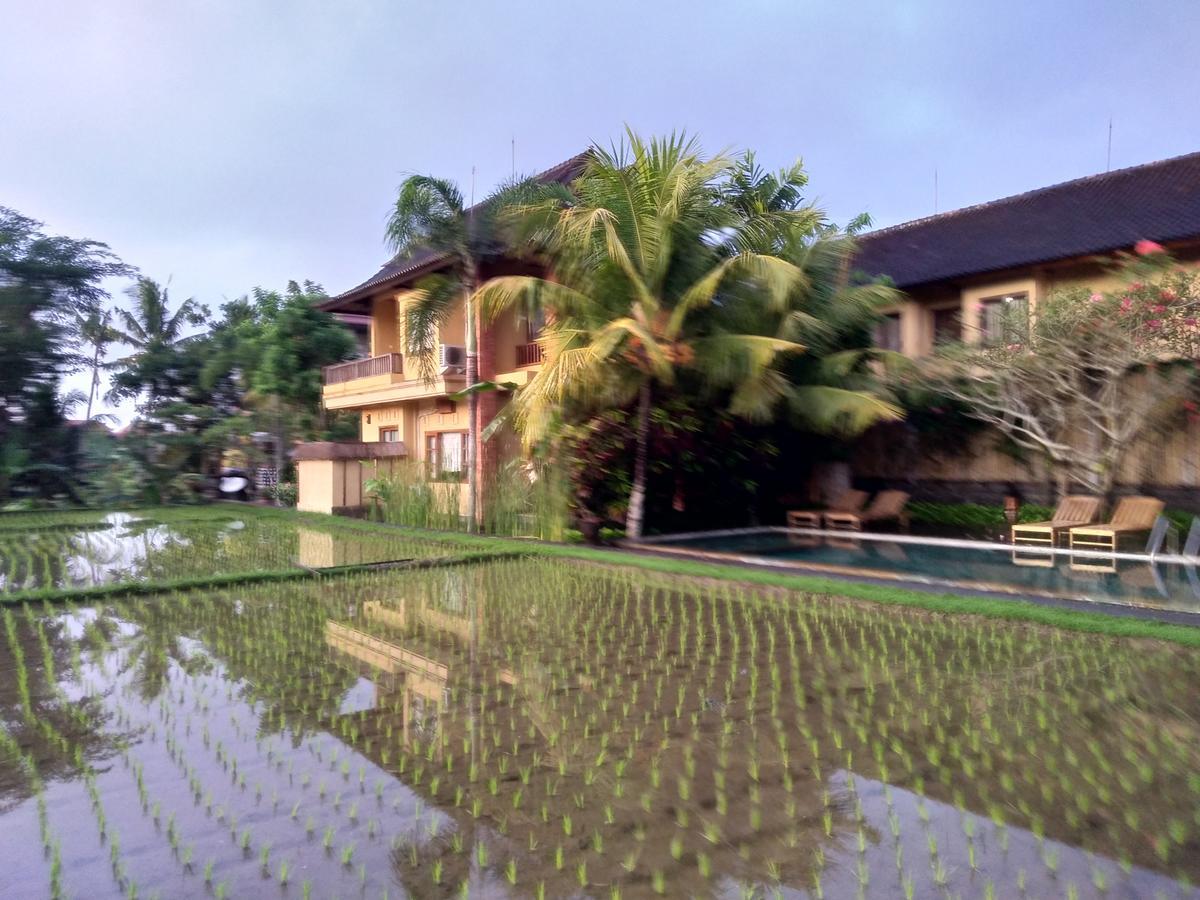 Bed & Breakfast Lestari *