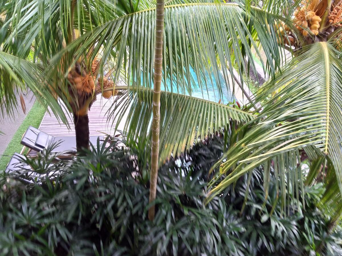 Bed & Breakfast Lestari *