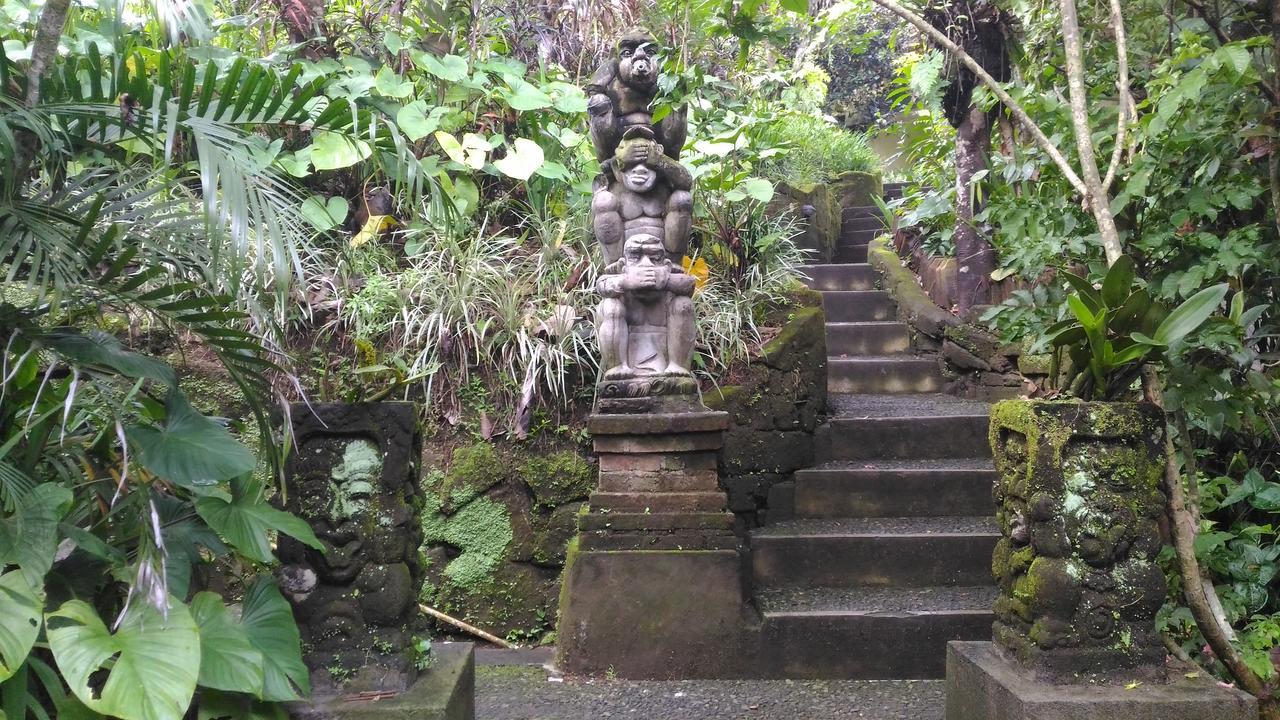 Guest house Arjana 2