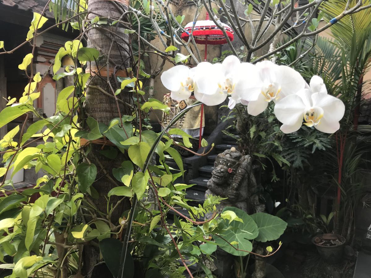 Pangkung House Homestay Ubud (Bali)