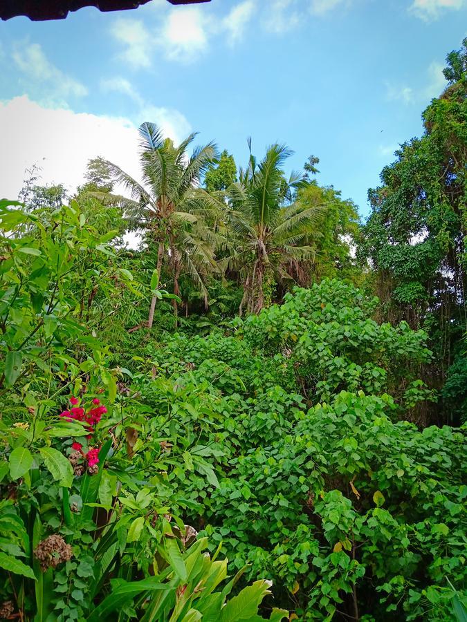 Homestay Karma House *