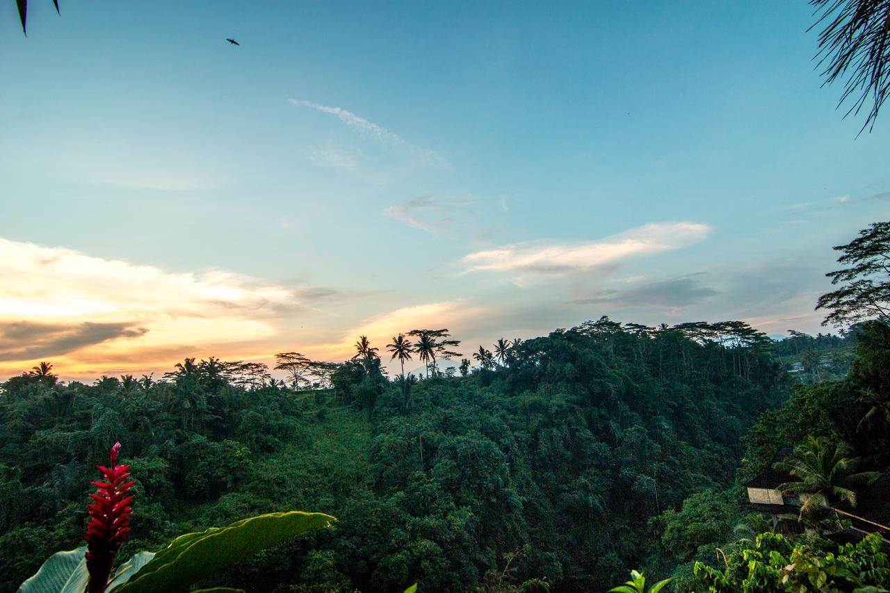Bidadari Private & Retreat Ubud (Bali)
