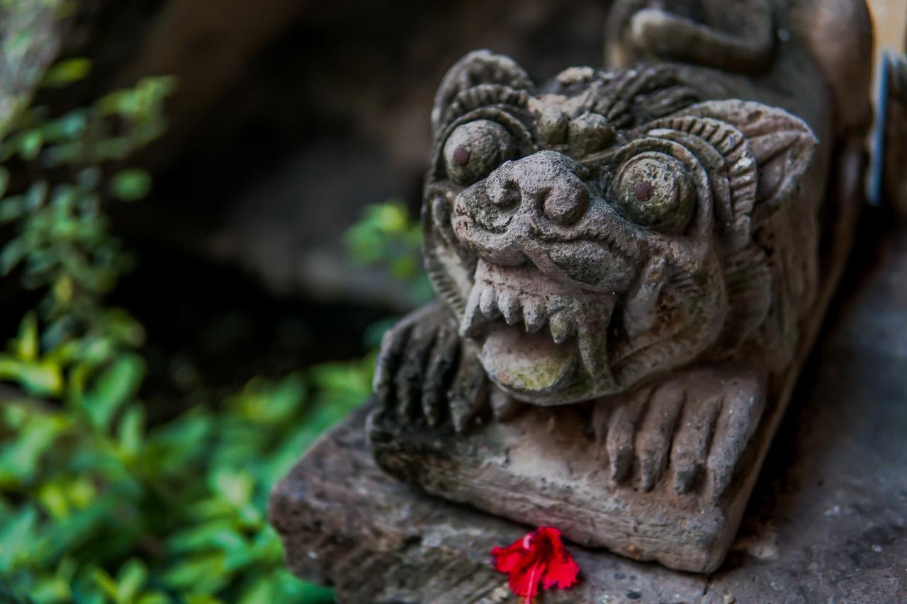 Accommodatie bij particulieren Ina Ubud