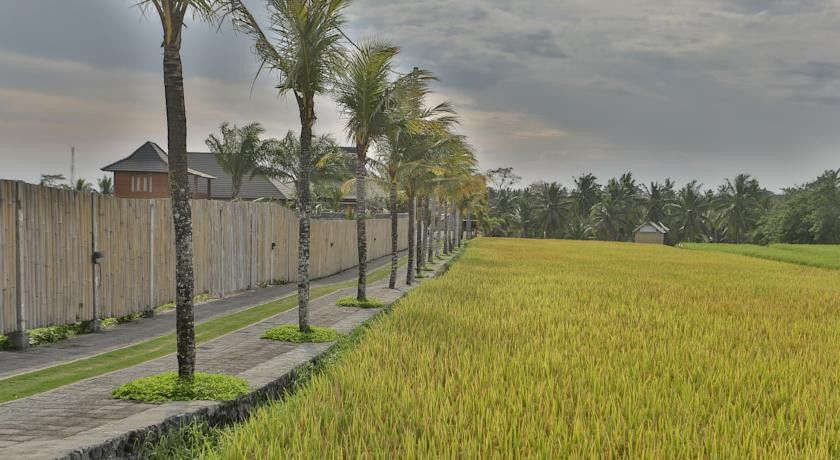 Pertiwi Bisma 1