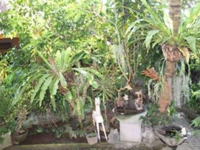 Sadru House Bed & Breakfast