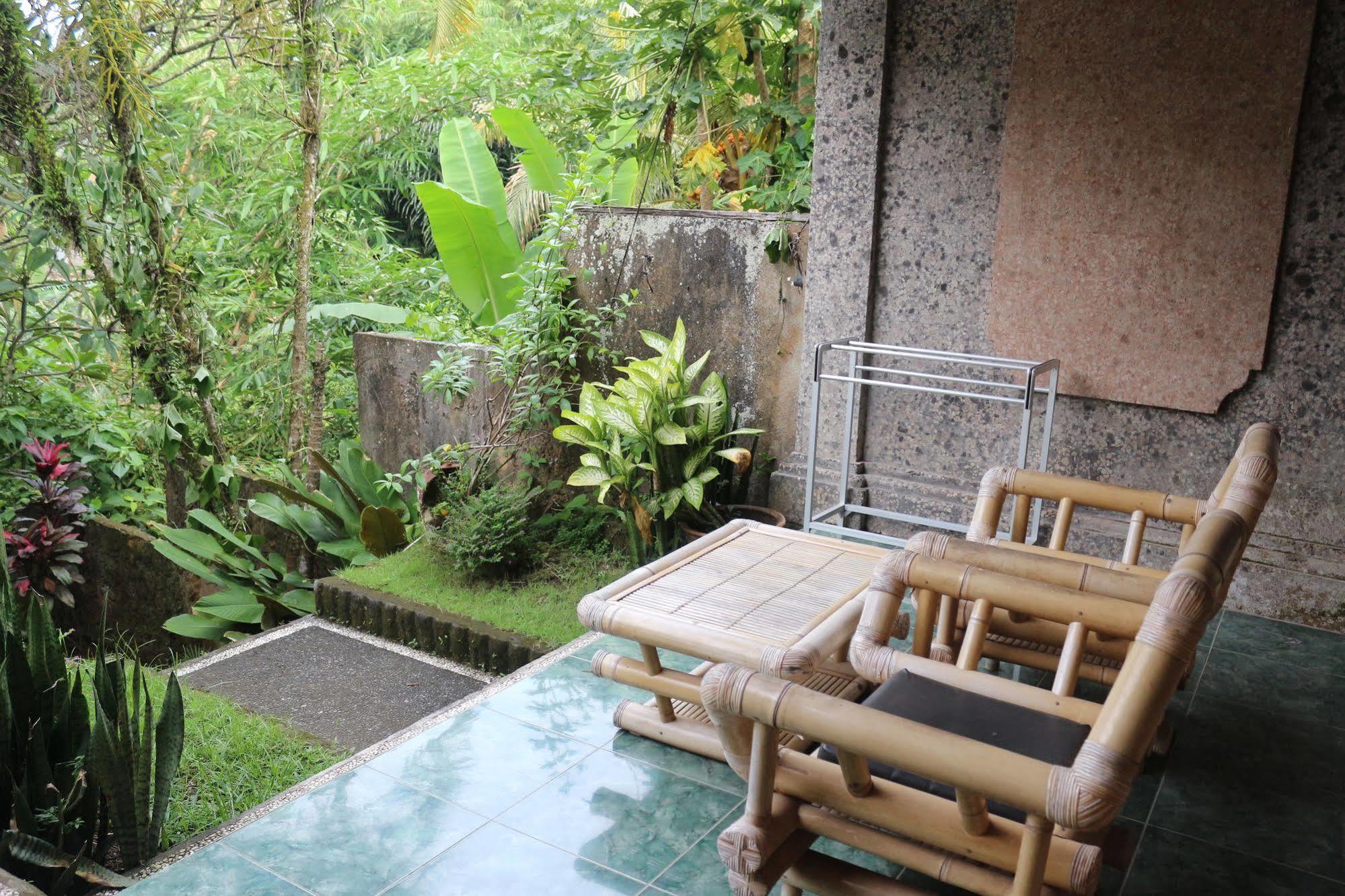 Citrus Tree - Sulendra Homestay