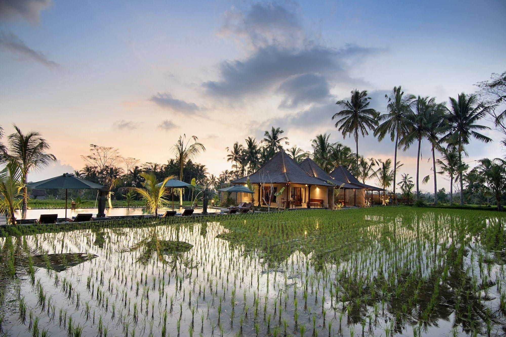 Hotel Pajar House & 3*
