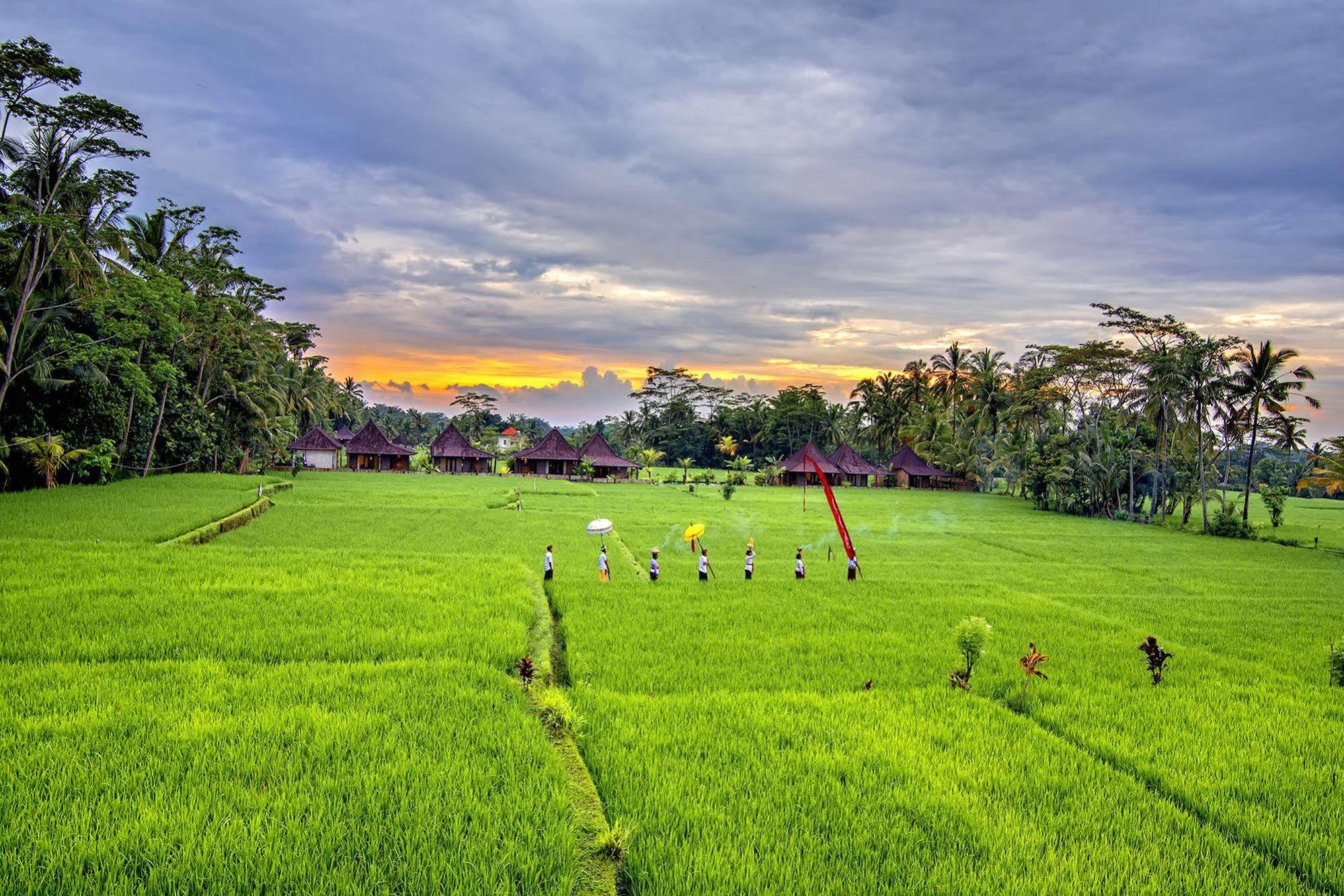 Pajar House & Ubud (Bali)