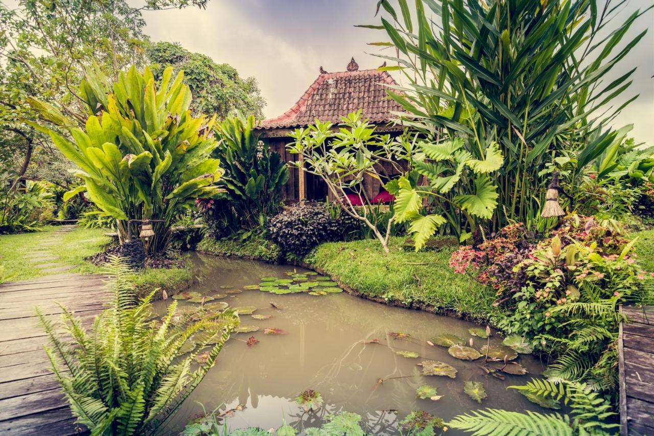 Dragonfly Village Ubud (Bali)