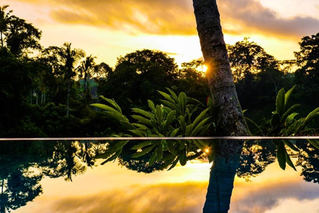 Vila Kupu Kupu Private By Travellink Bali *