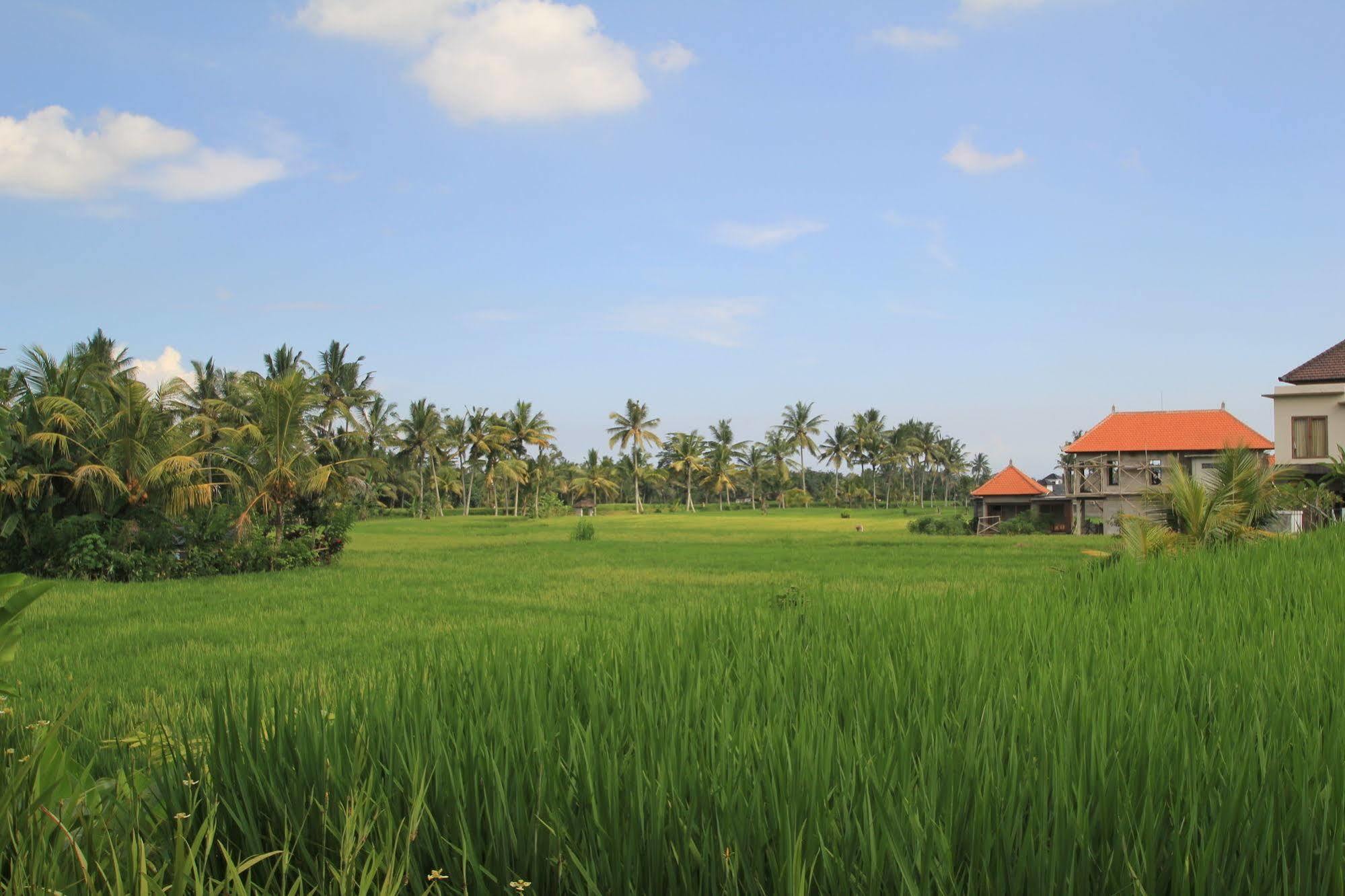 Bakung And Ubud