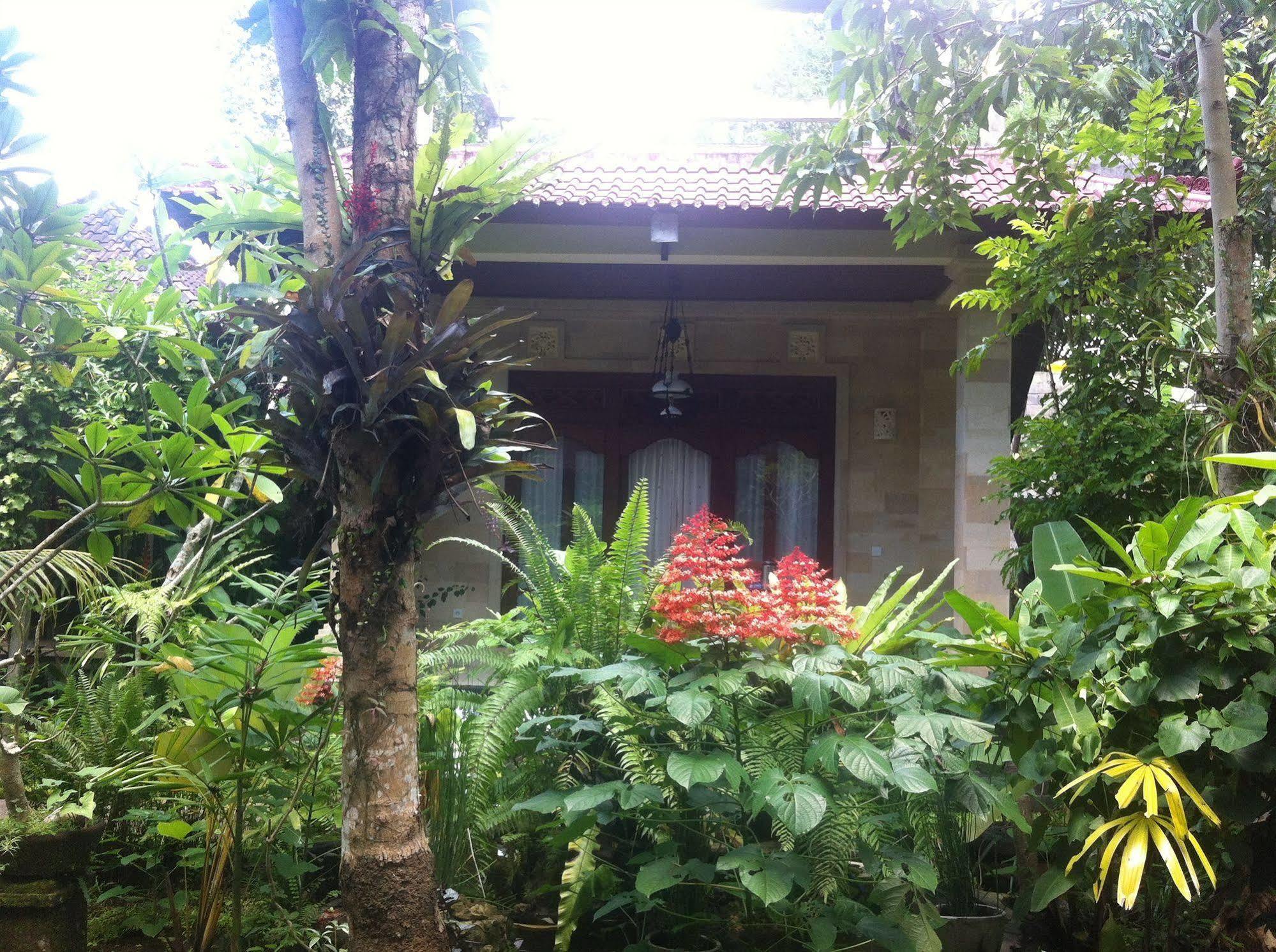 Karang Mesari Ubud