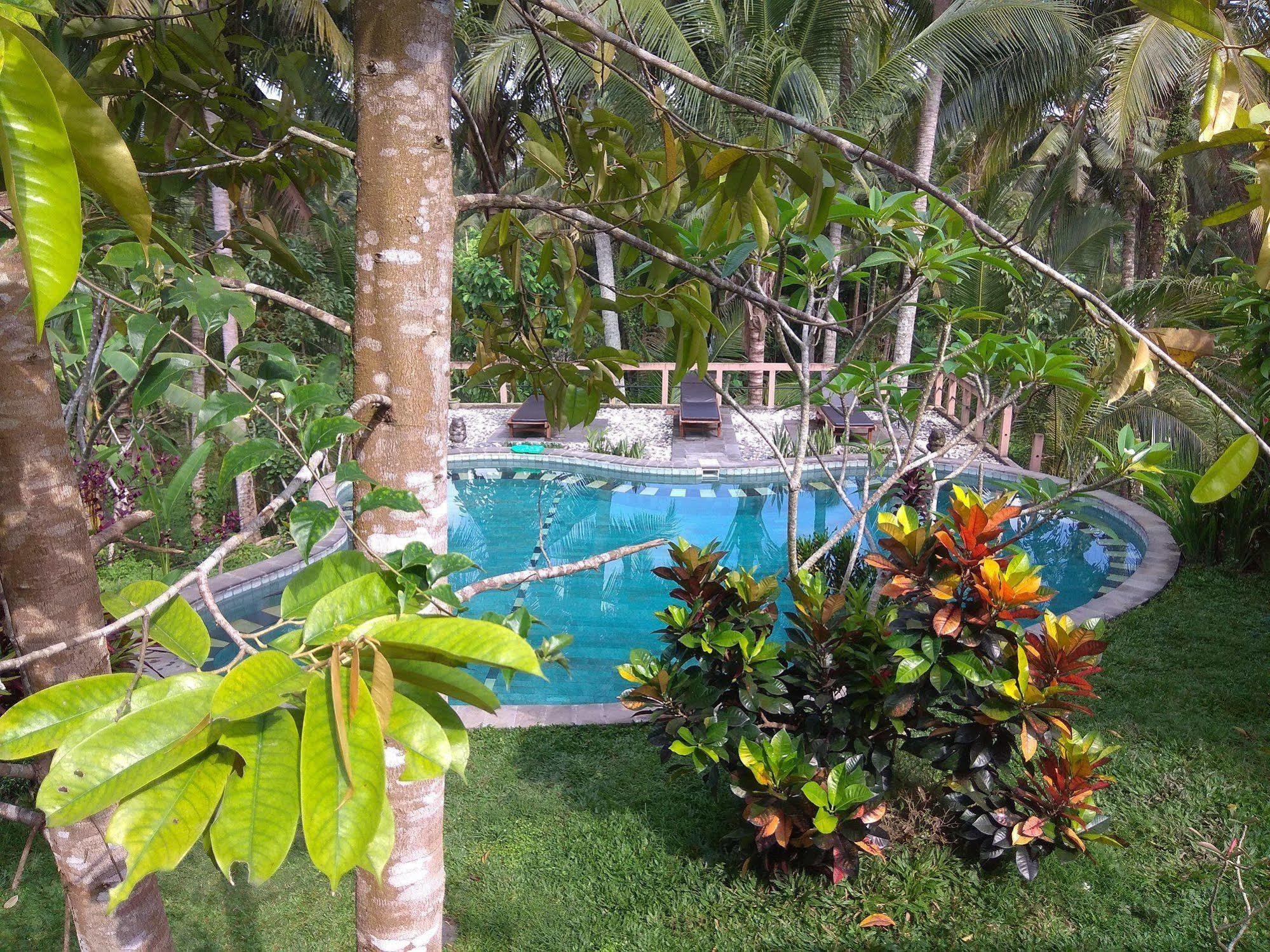 Guest house Terrace Campuhan Ubud (Bali)