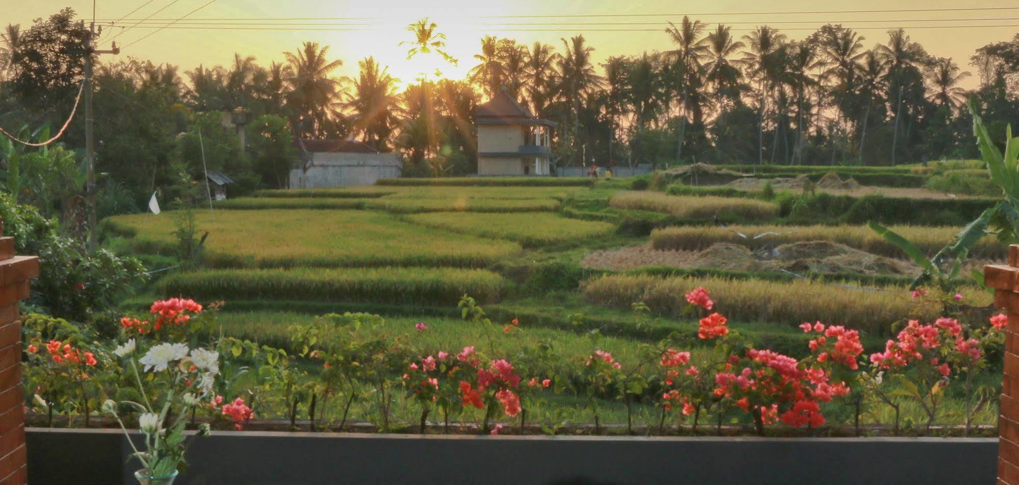 Puri Suksma 3* Ubud (Bali)