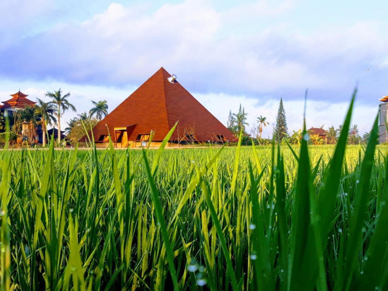 Suly Vegetarian & Spa Hotel 3*
