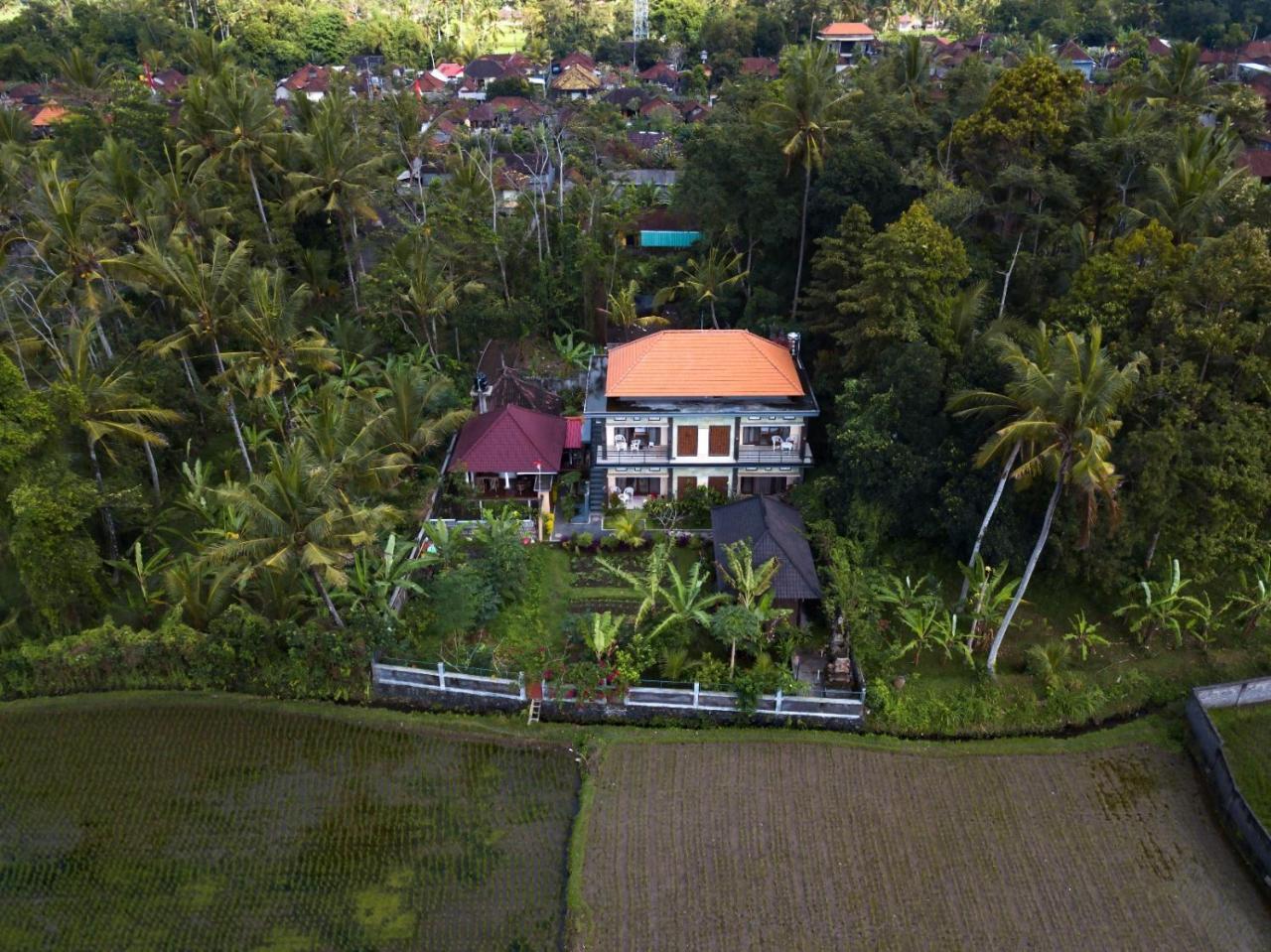 Guest house Demank Hidden Ubud (Bali)