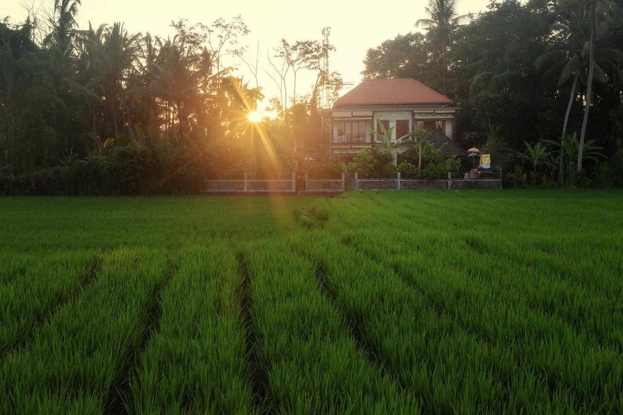 Demank Hidden Ubud (Bali)