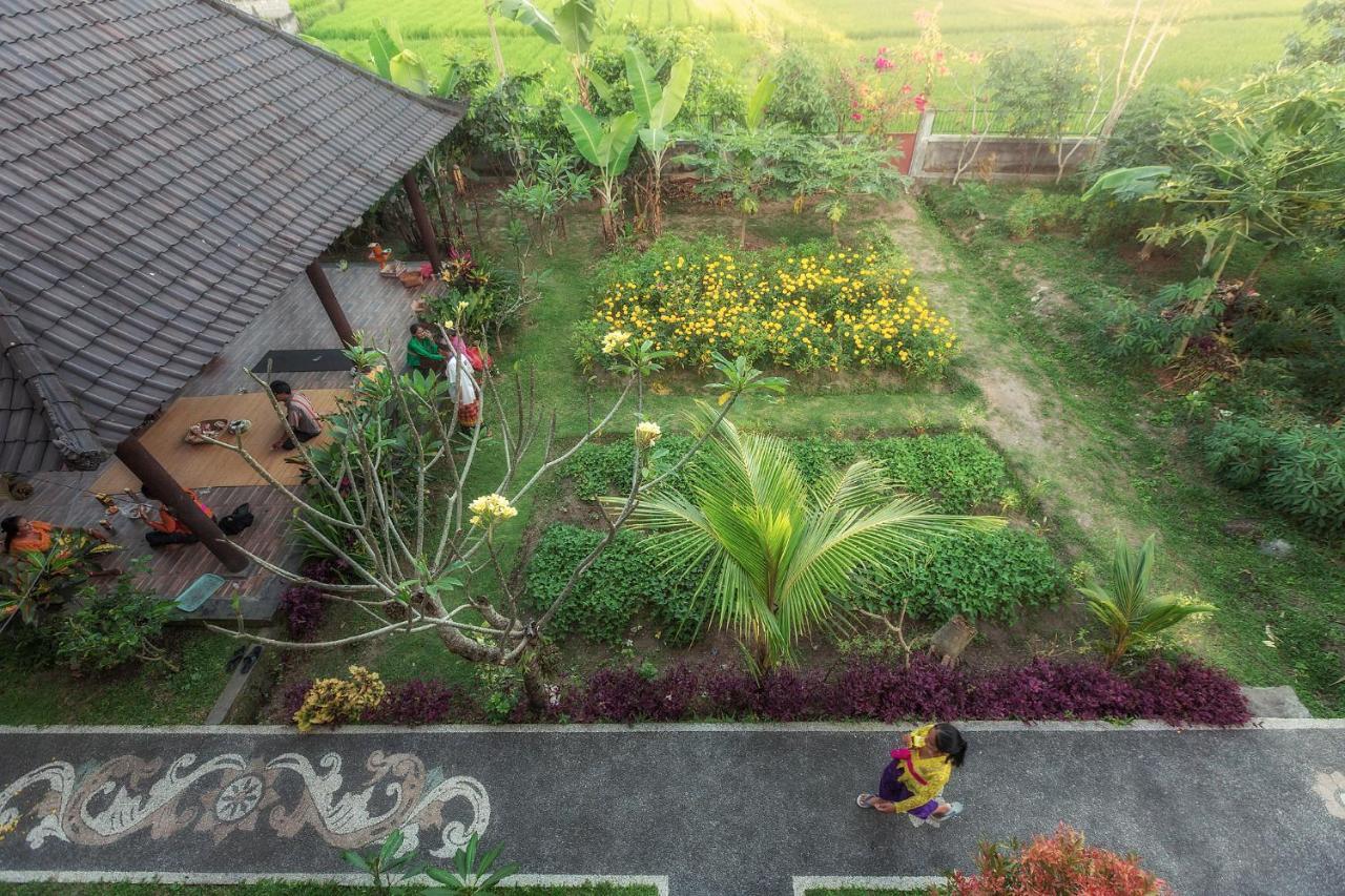 Demank Hidden Guest house 3*