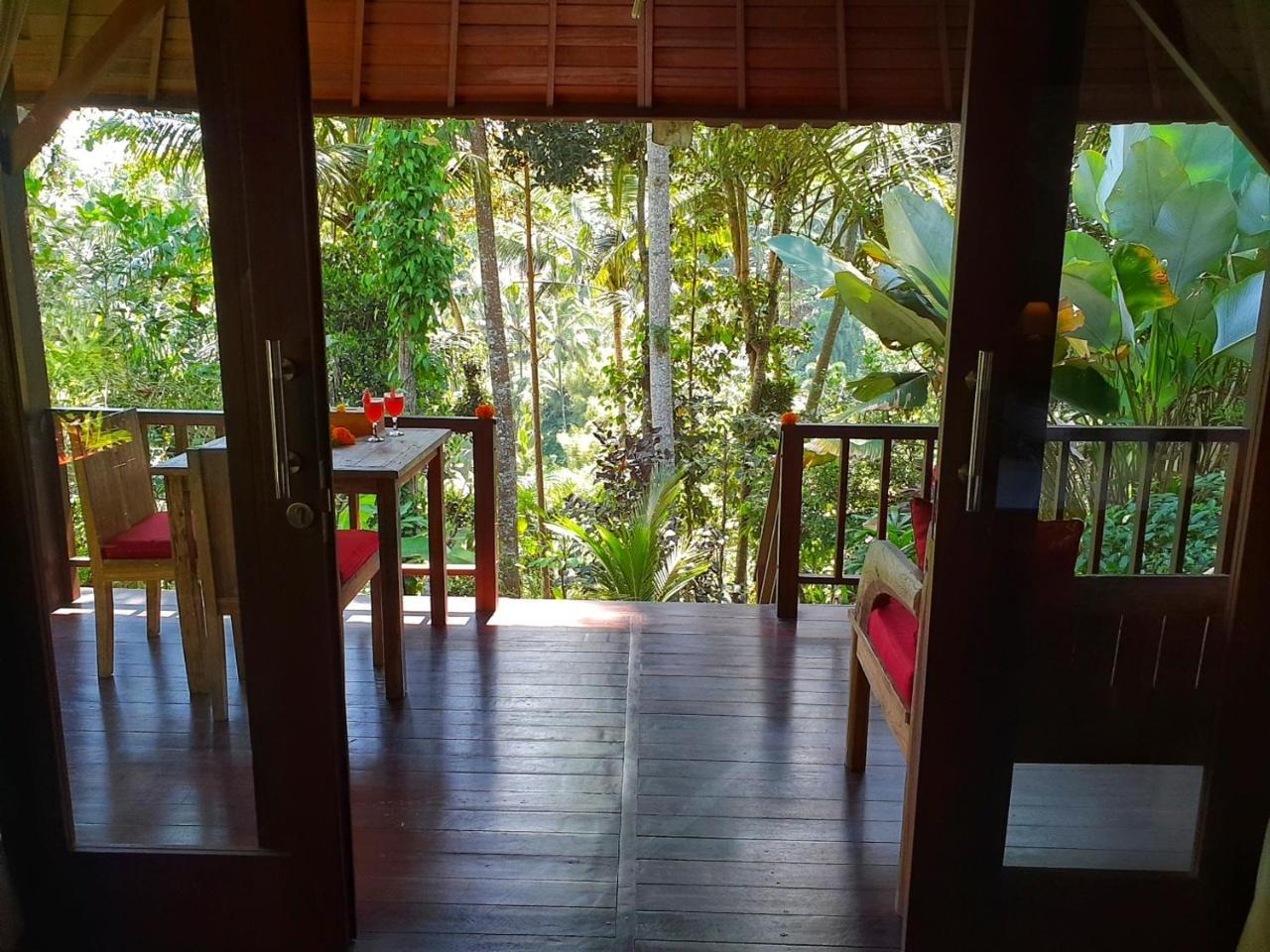 Secluded Jungle
