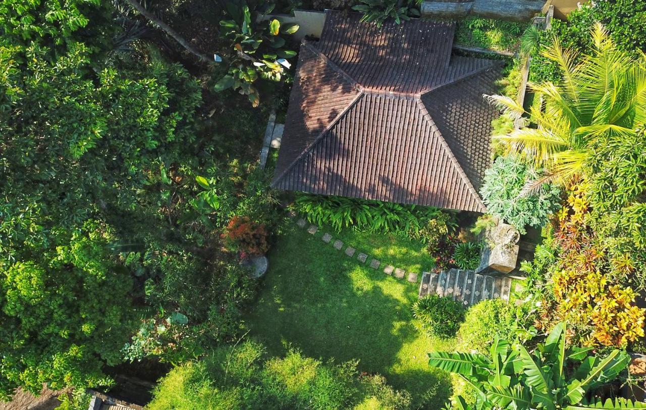 Secluded Jungle Ubud (Bali)