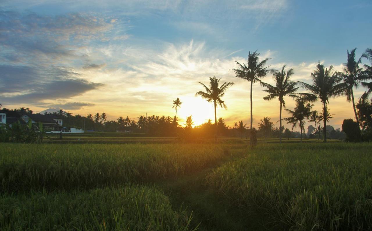 Griya Private Ubud