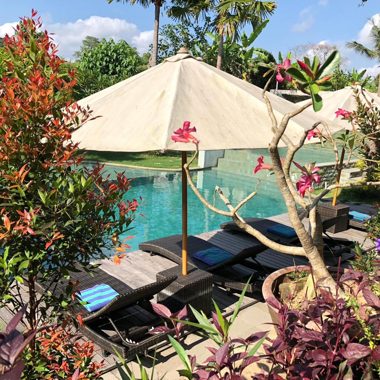 Guest house Betutu Bali