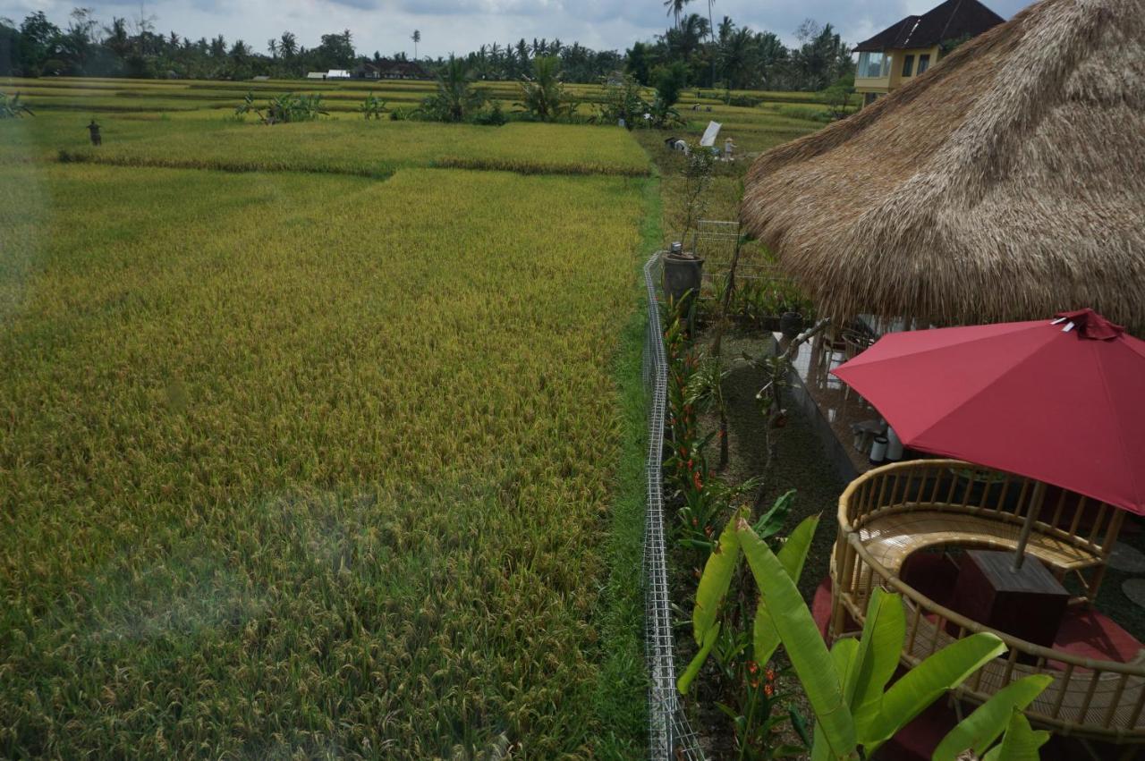 Kubu Sari 3* Ubud (Bali)