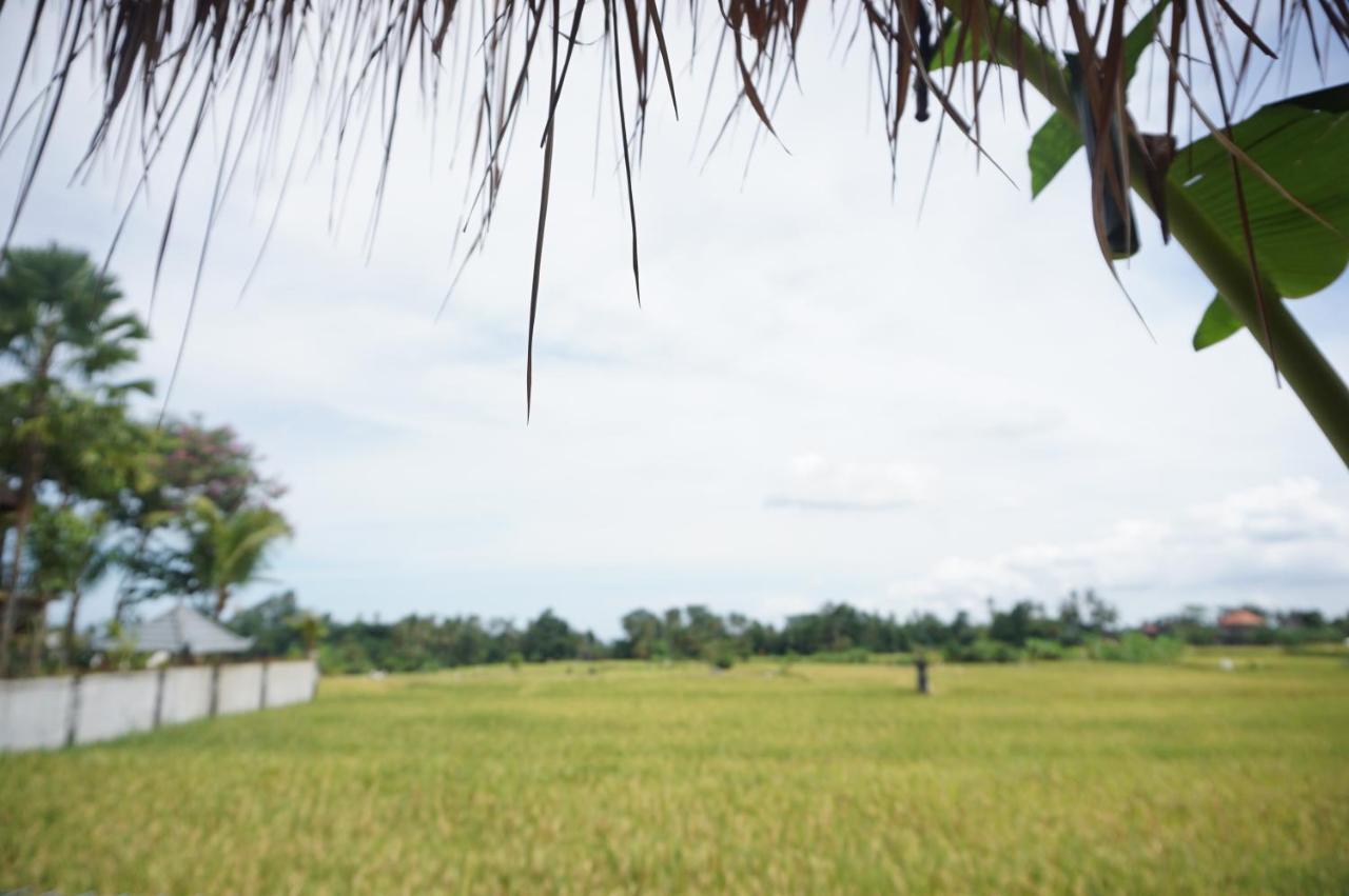 Kubu Sari