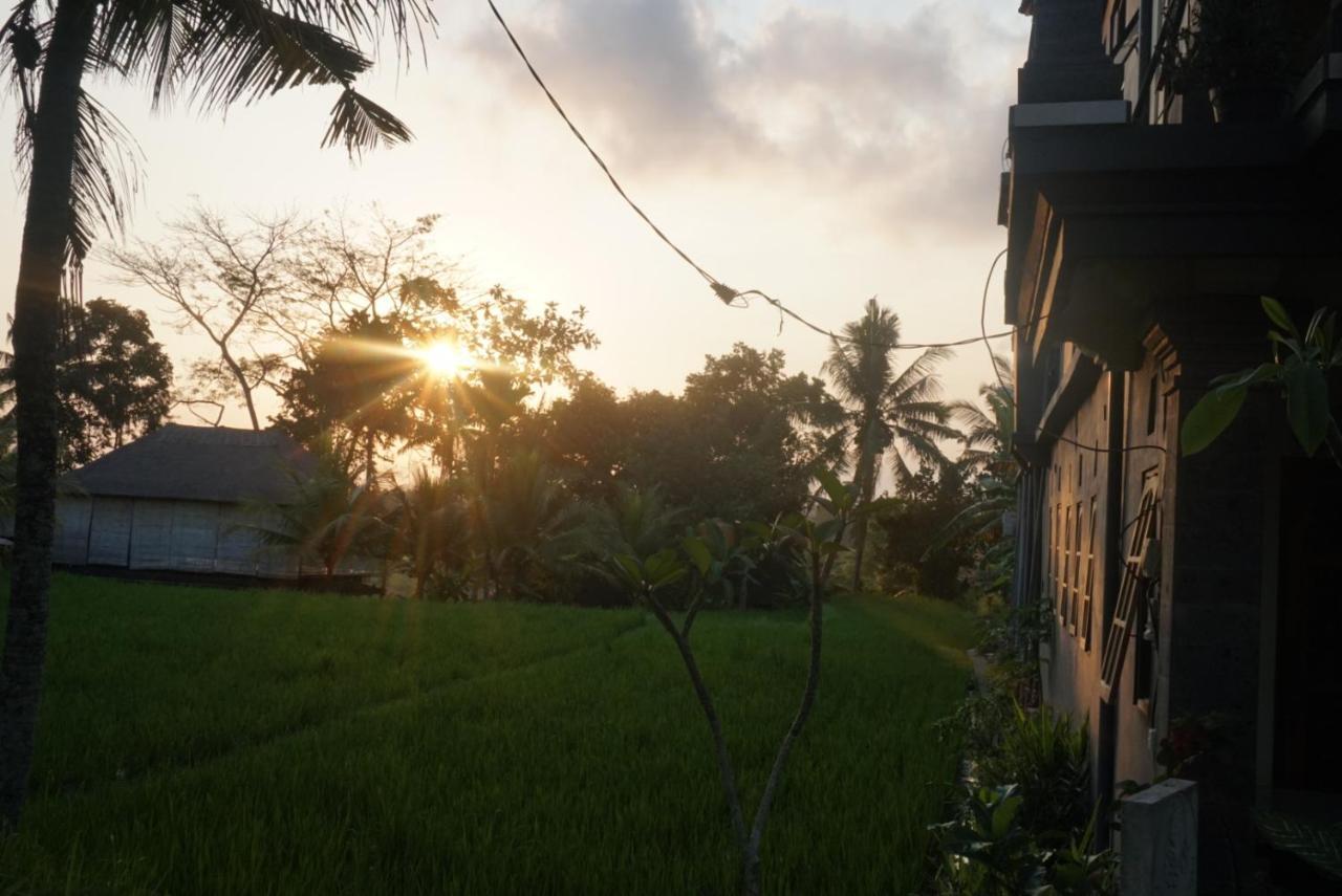 Restu House 2* Ubud (Bali)