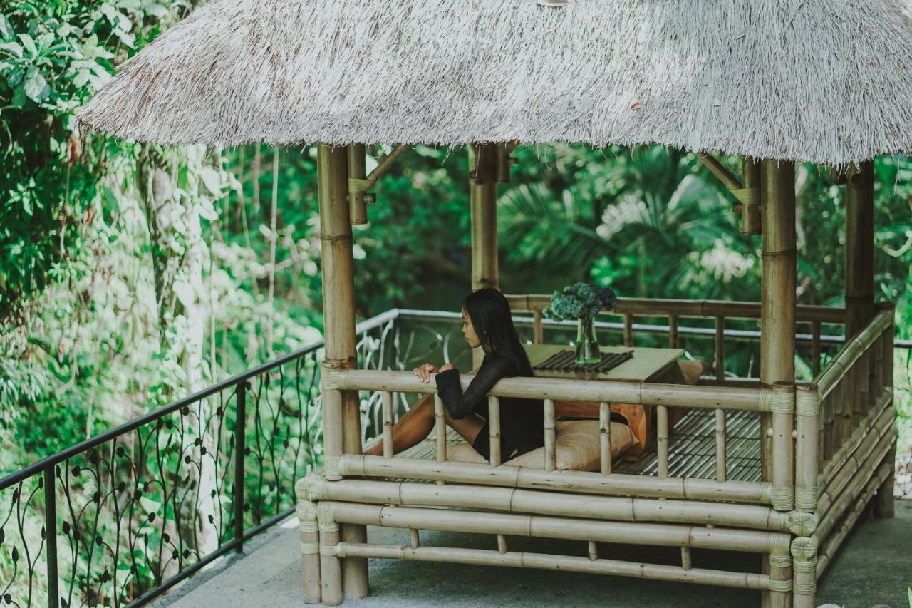 bahay-panuluyan Jungle Lotus