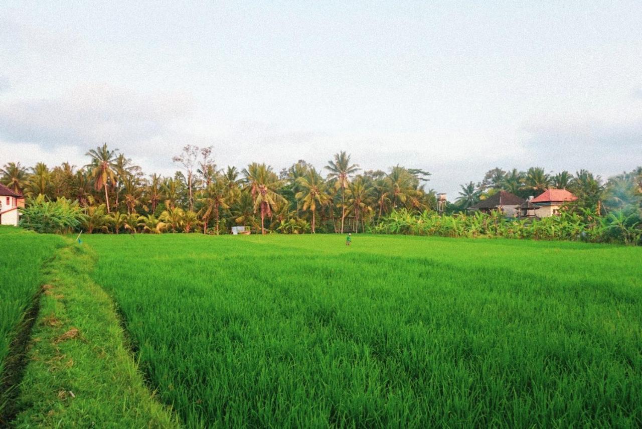 Restu House Guest house Ubud (Bali)