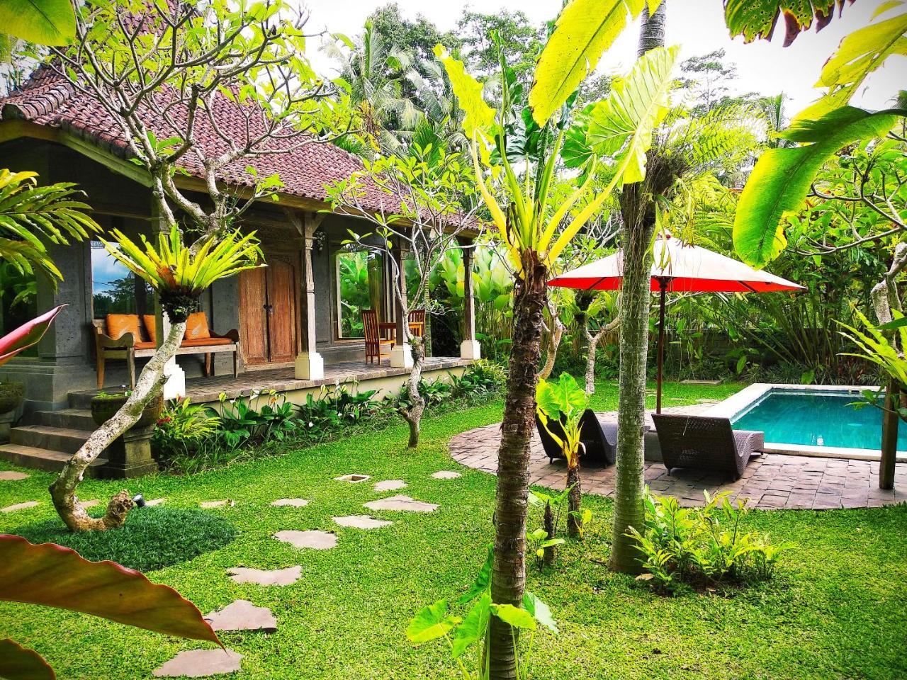 Thani * Ubud (Bali)